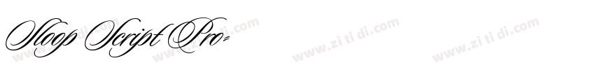 Sloop Script Pro字体转换
